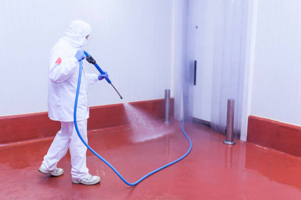Best House Exterior Washing  in Decatur, IL